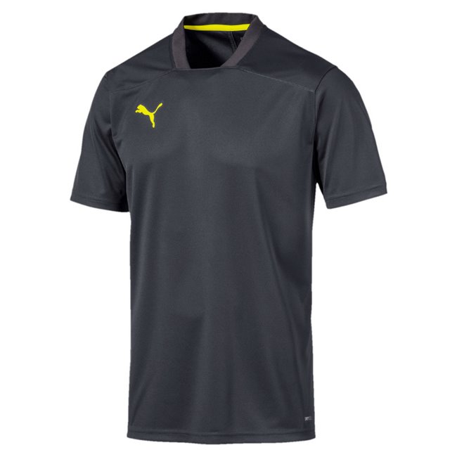 puma bmw t shirt homme brun