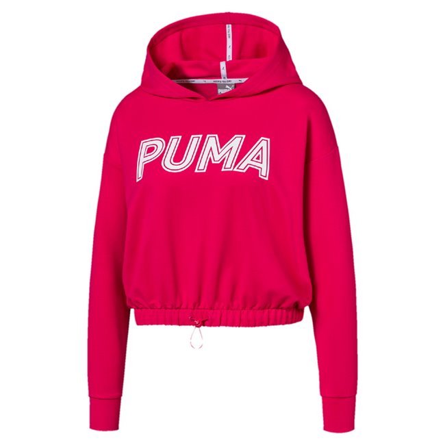 puma modern sports hoodie